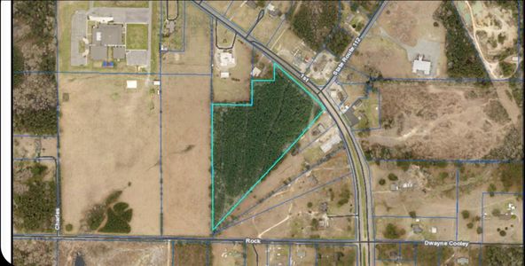 TBD Hwy 171, South: TBD Hwy 171, South, Deridder, LA 70634